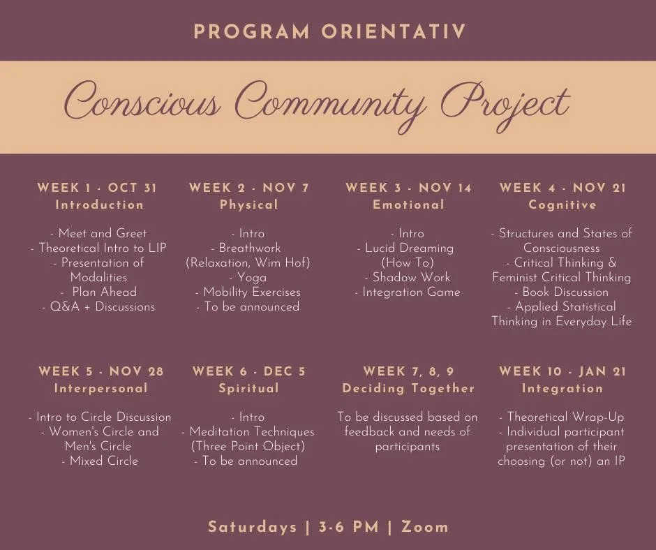consciousness community project